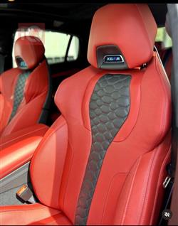 بی ئێم دەبڵیو X6